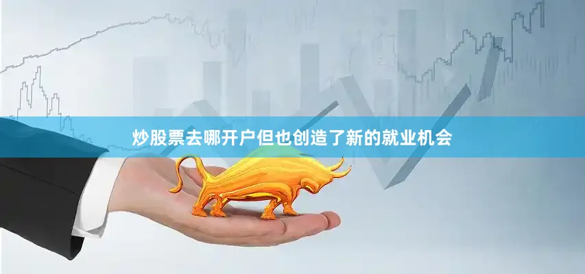炒股票去哪开户但也创造了新的就业机会