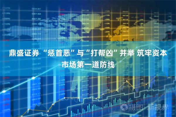 鼎盛证券 “惩首恶”与“打帮凶”并举 筑牢资本市场第一道防线